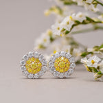 Fancy Intense Yellow  Round Brilliant Double Halo Diamond Earrings