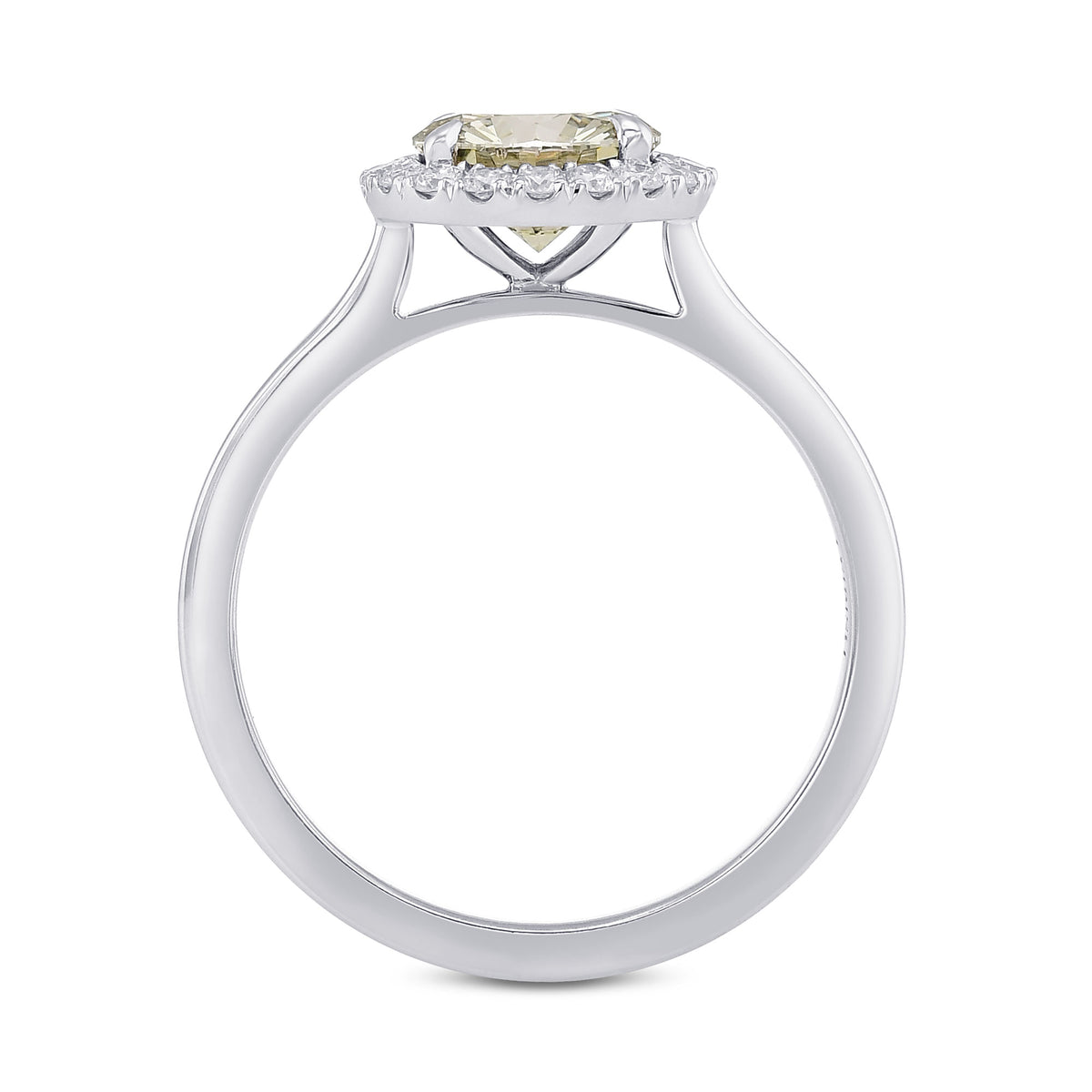Chameleon Round Diamond Halo Ring