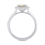Chameleon Round Diamond Halo Ring