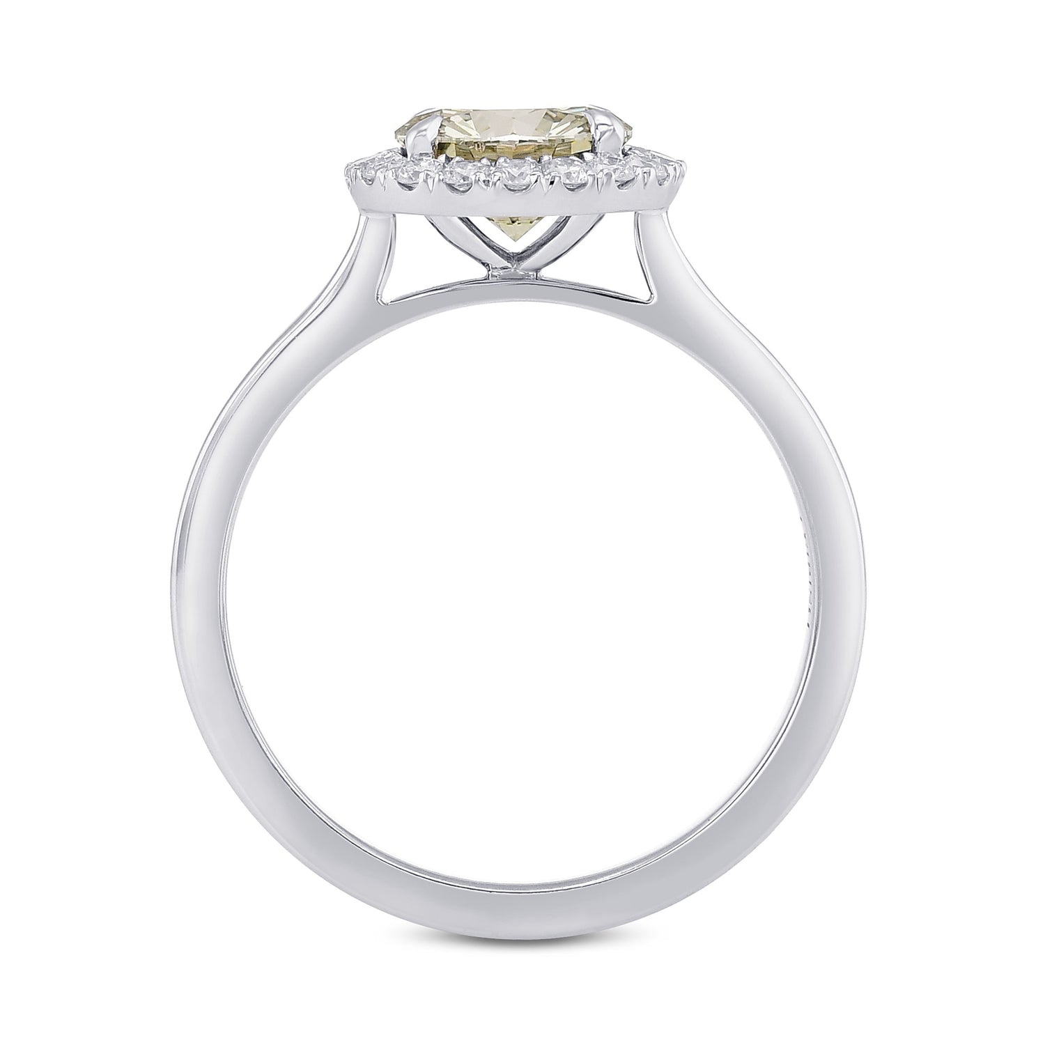 Chameleon Round Diamond Halo Ring