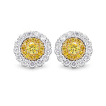 Round Brilliant Fancy Intense Yellow Diamond Halo Earrings 