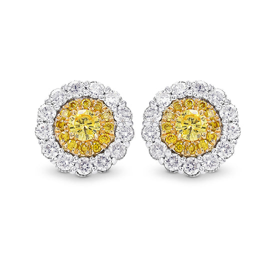 Round Brilliant Fancy Intense Yellow Diamond Halo Earrings 