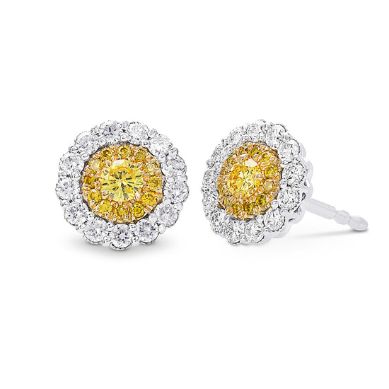 Round Brilliant Fancy Intense Yellow Diamond Halo Earrings 