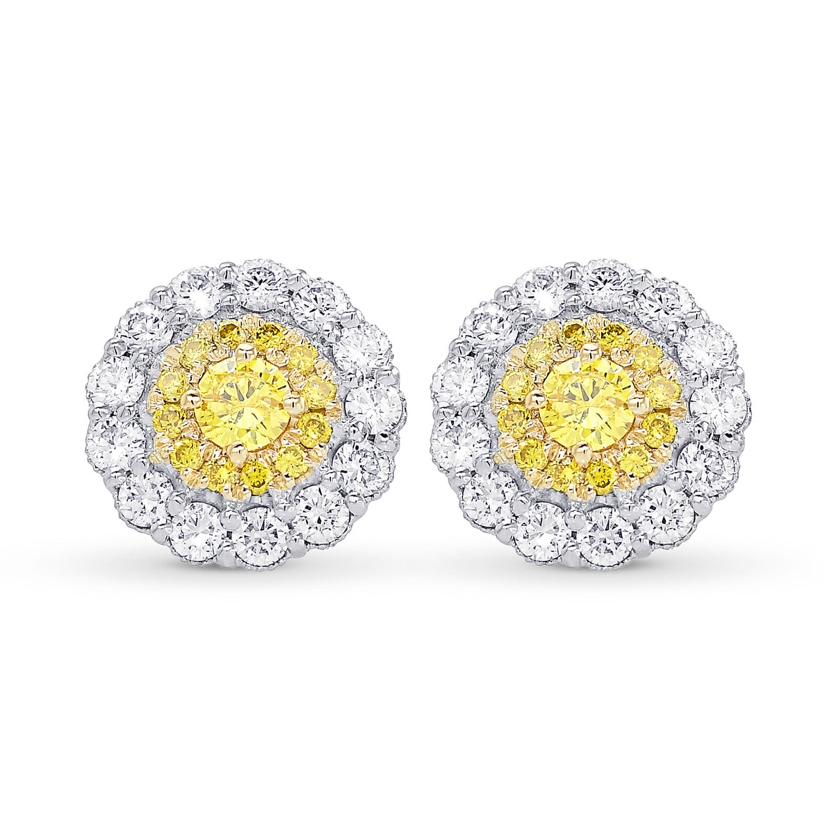 Fancy Vivid Yellow Brilliant Double Halo Earrings
