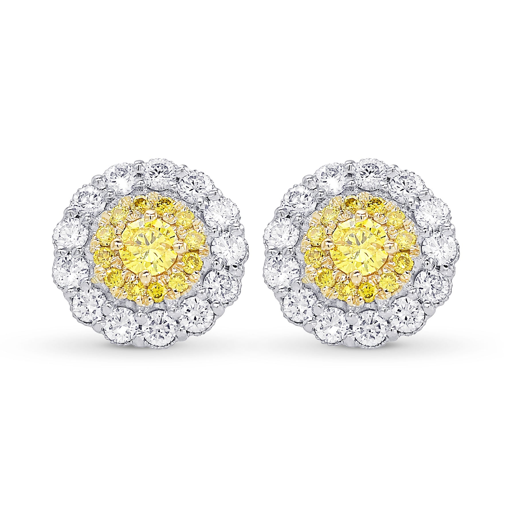 Fancy Vivid Yellow Brilliant Double Halo Earrings