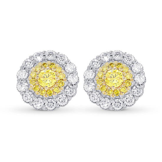 Fancy Vivid Yellow Brilliant Double Halo Earrings