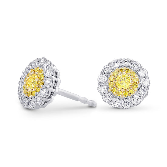 Fancy Vivid Yellow Brilliant Double Halo Earrings