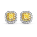 Fancy Intense Yellow Radiant Double Halo Earrings 