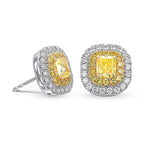 Fancy Intense Yellow Radiant Double Halo Earrings 