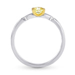 Half-Bezel Accented Solitaire Diamond Ring Setting - 2