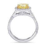 Halo Crossover Ring Setting - 2