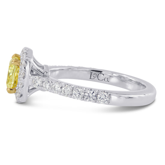 Halo Tulip Basket Diamond Ring Setting - 3
