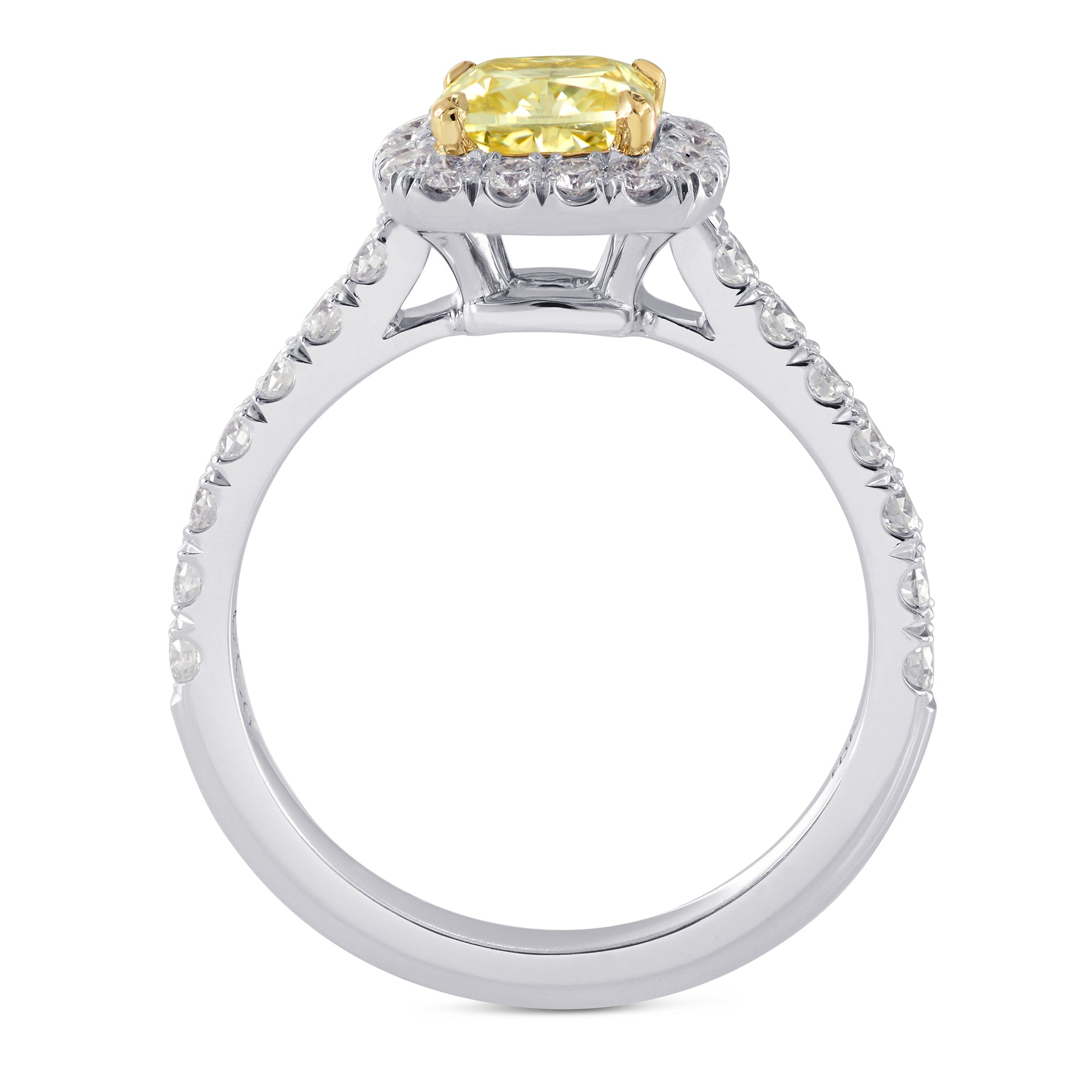 Halo Tulip Basket Diamond Ring Setting - 2