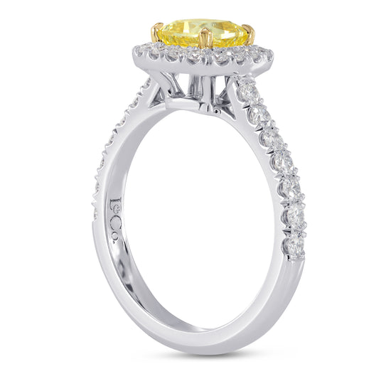 Halo Tulip Basket Diamond Ring Setting - 4