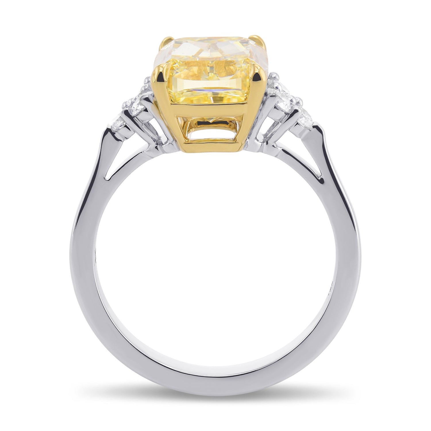 Brilliant Accented Diamond Ring Setting - 2