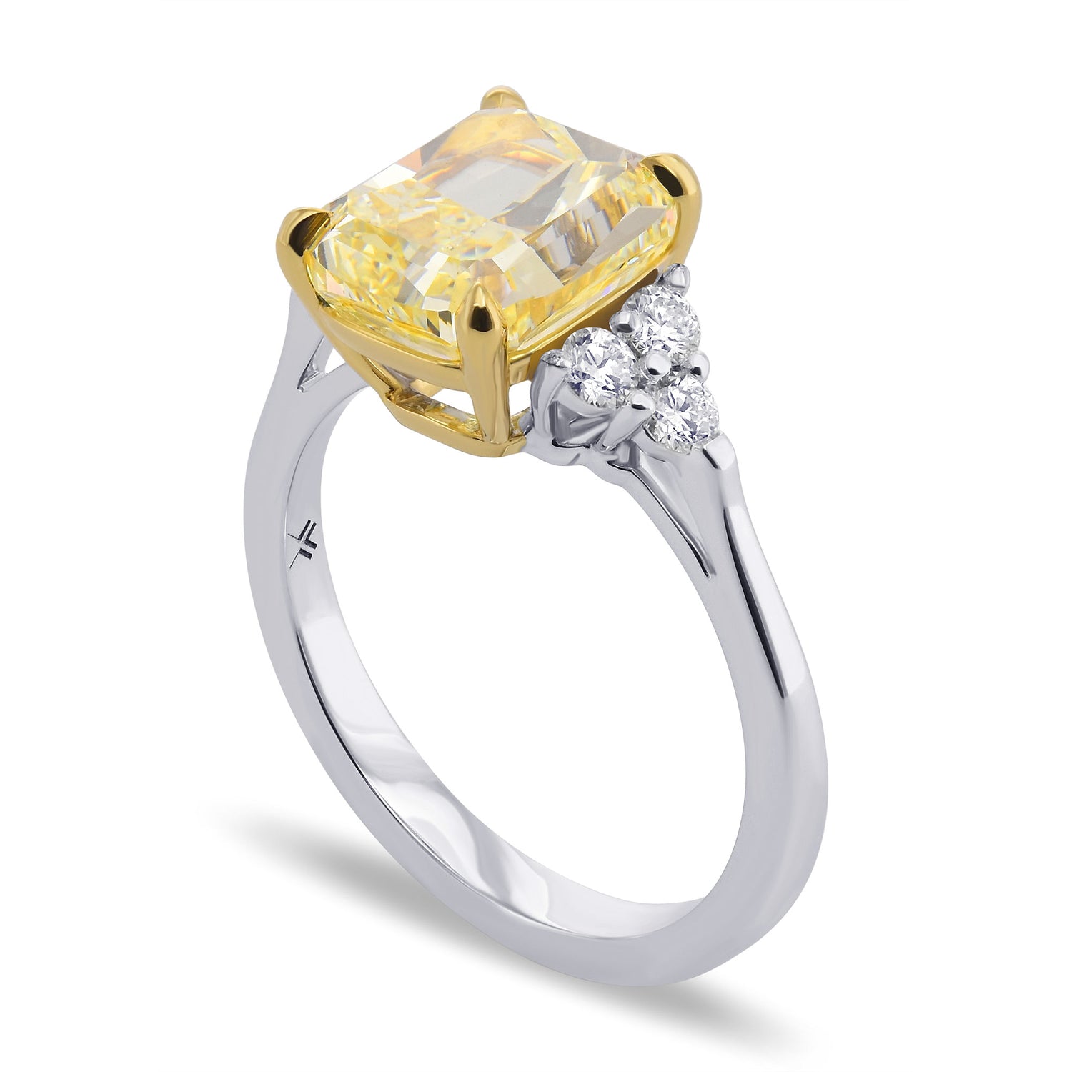 Brilliant Accented Diamond Ring Setting - 3