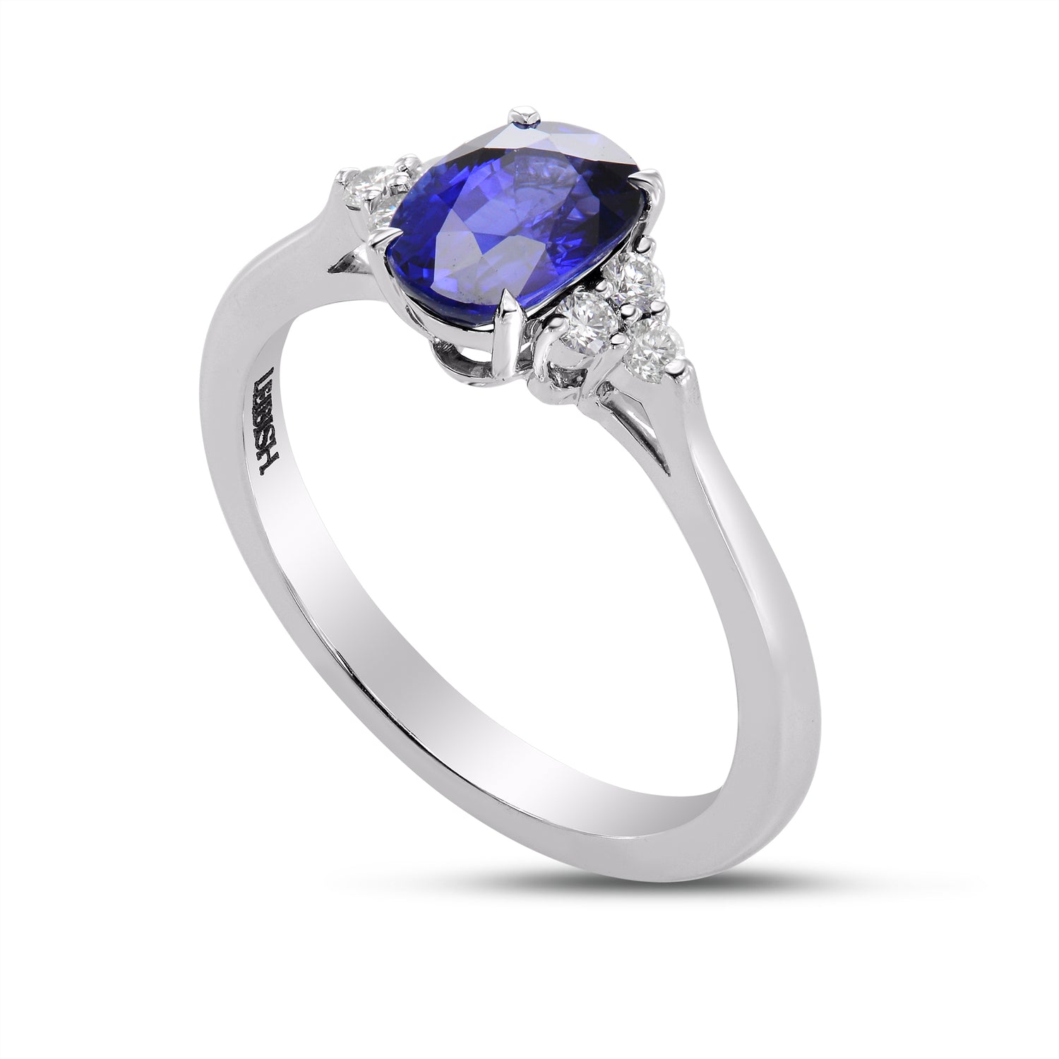 Brilliant Accented Diamond Ring Setting - 3