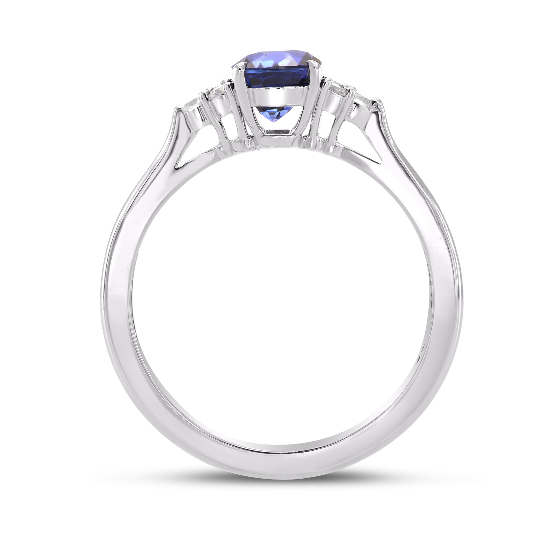 Brilliant Accented Diamond Ring Setting - 2