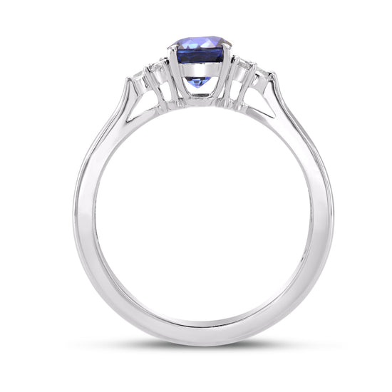 Brilliant Accented Diamond Ring Setting - 2