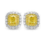 Fancy Vivid Yellow Cushion Diamond Double Halo Earrings