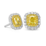 Fancy Vivid Yellow Cushion Diamond Double Halo Earrings
