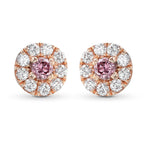 Fancy Intense Pink Round Halo Diamond Earrings 