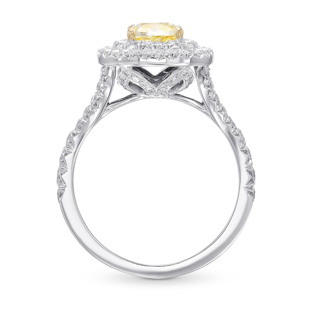 Fancy Yellow Cushion Diamond Double Halo Ring