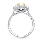 Fancy Yellow Cushion Diamond Double Halo Ring