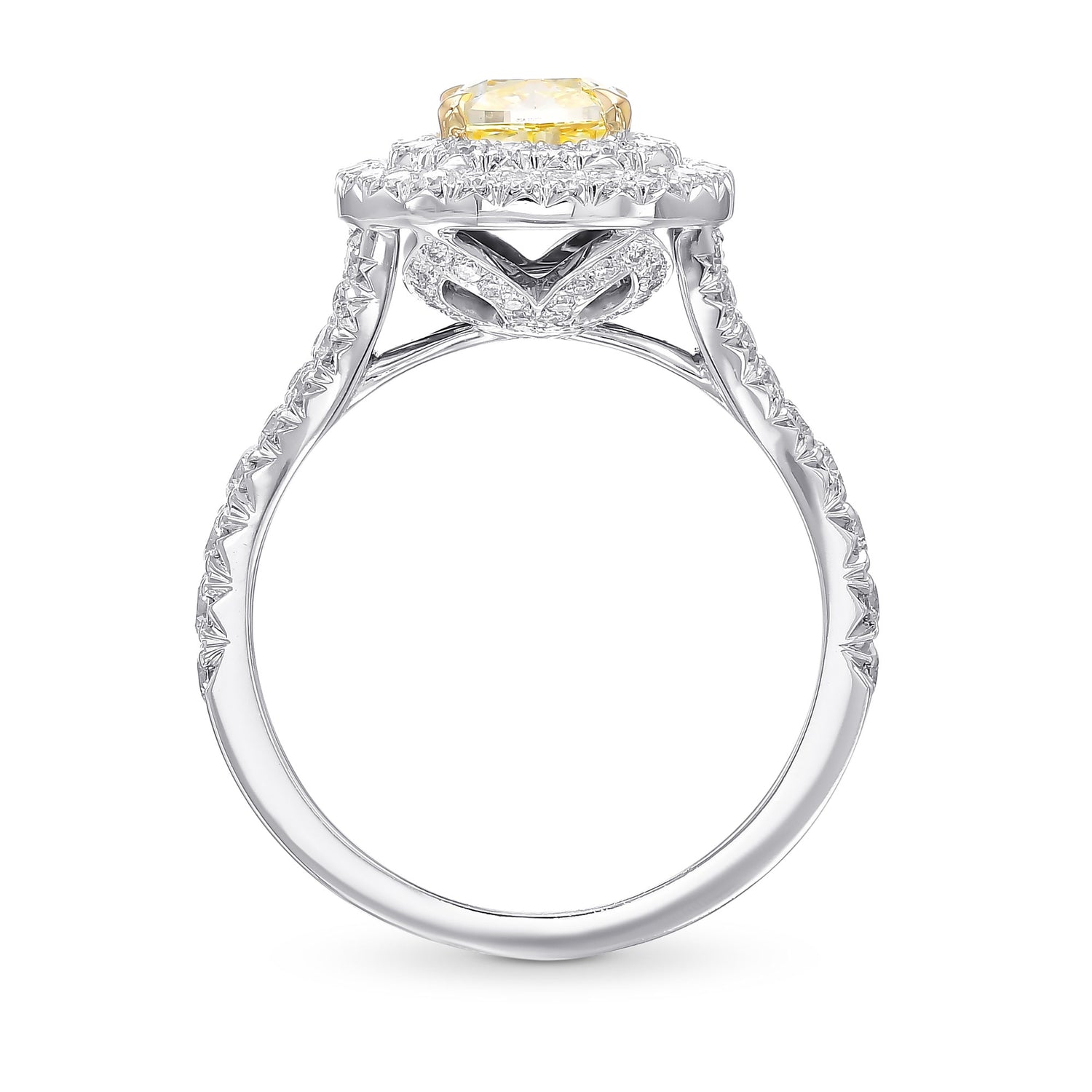 Fancy Yellow Cushion Diamond Double Halo Ring