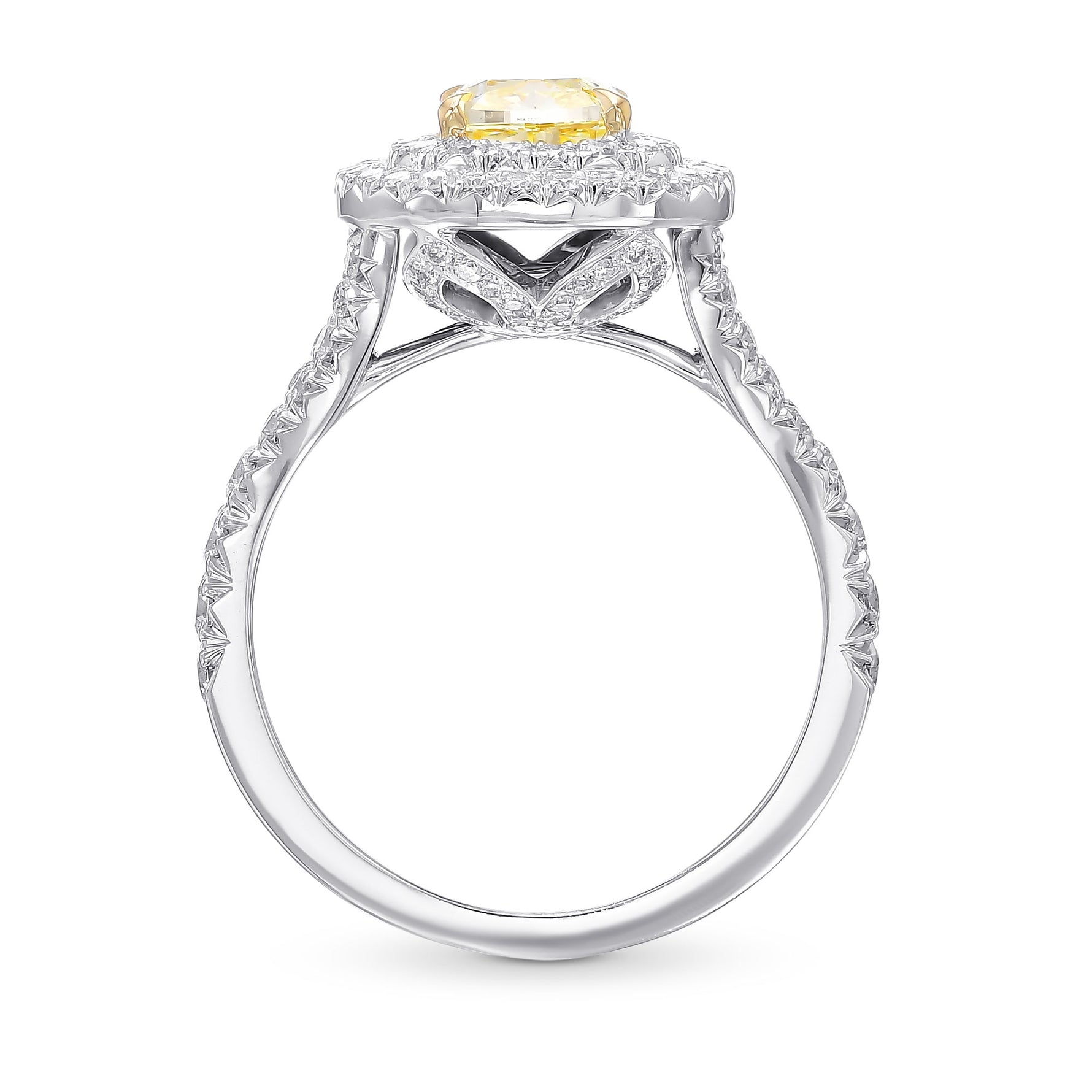 Fancy Yellow Cushion Diamond Double Halo Ring