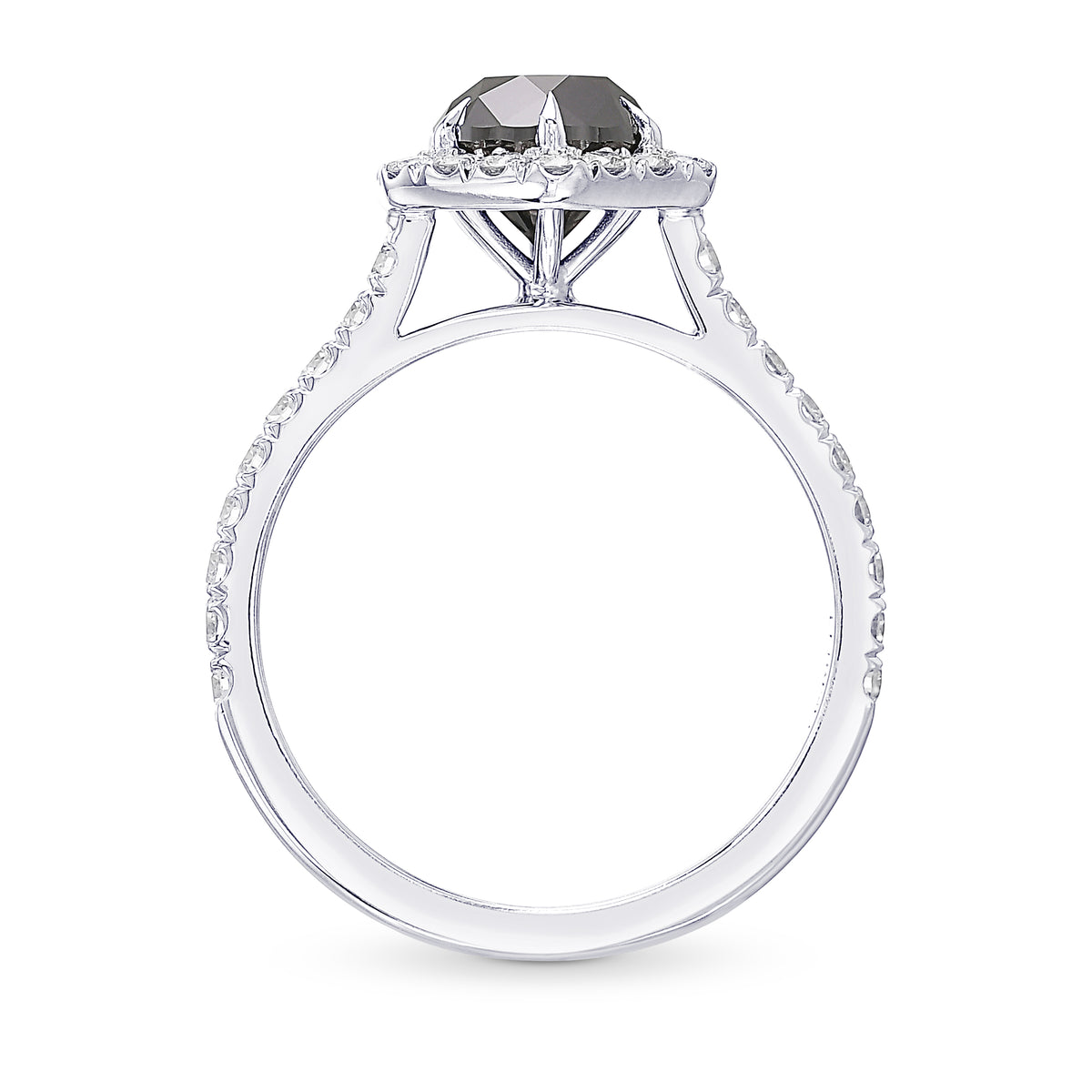 Natural Fancy Black Round Diamond Halo Ring