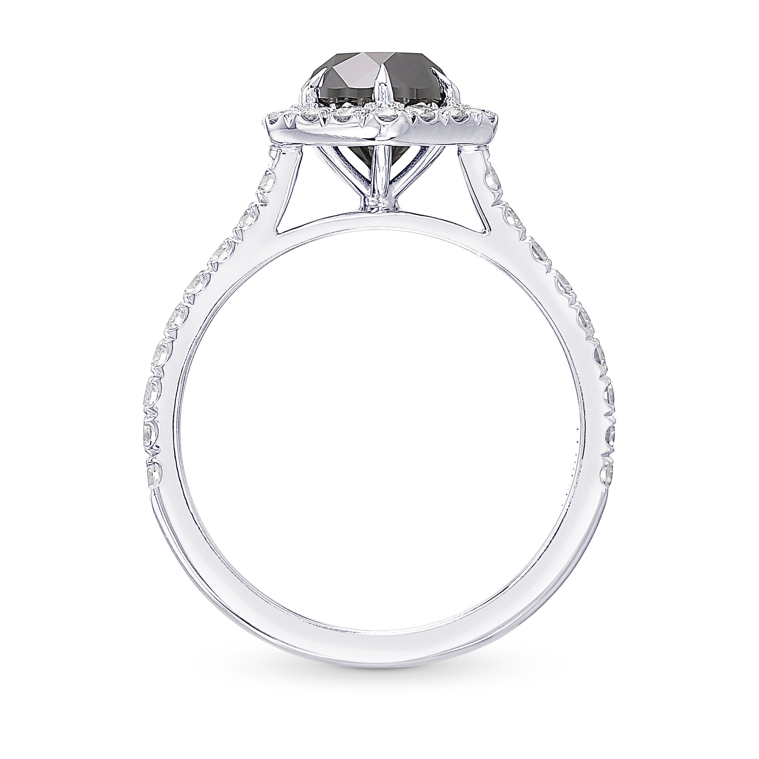 Natural Fancy Black Round Diamond Halo Ring