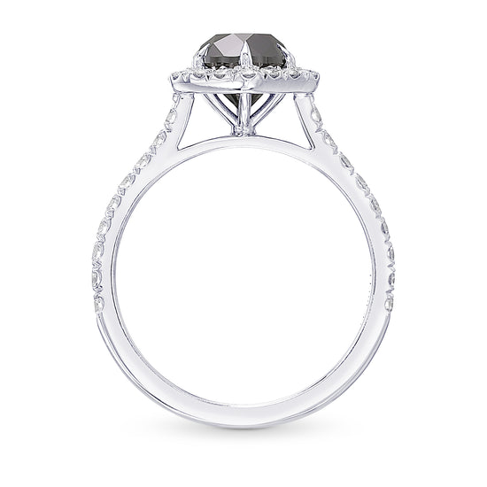 Natural Fancy Black Round Diamond Halo Ring