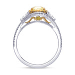 Fancy Yellow Cushion Diamond Double Halo Ring