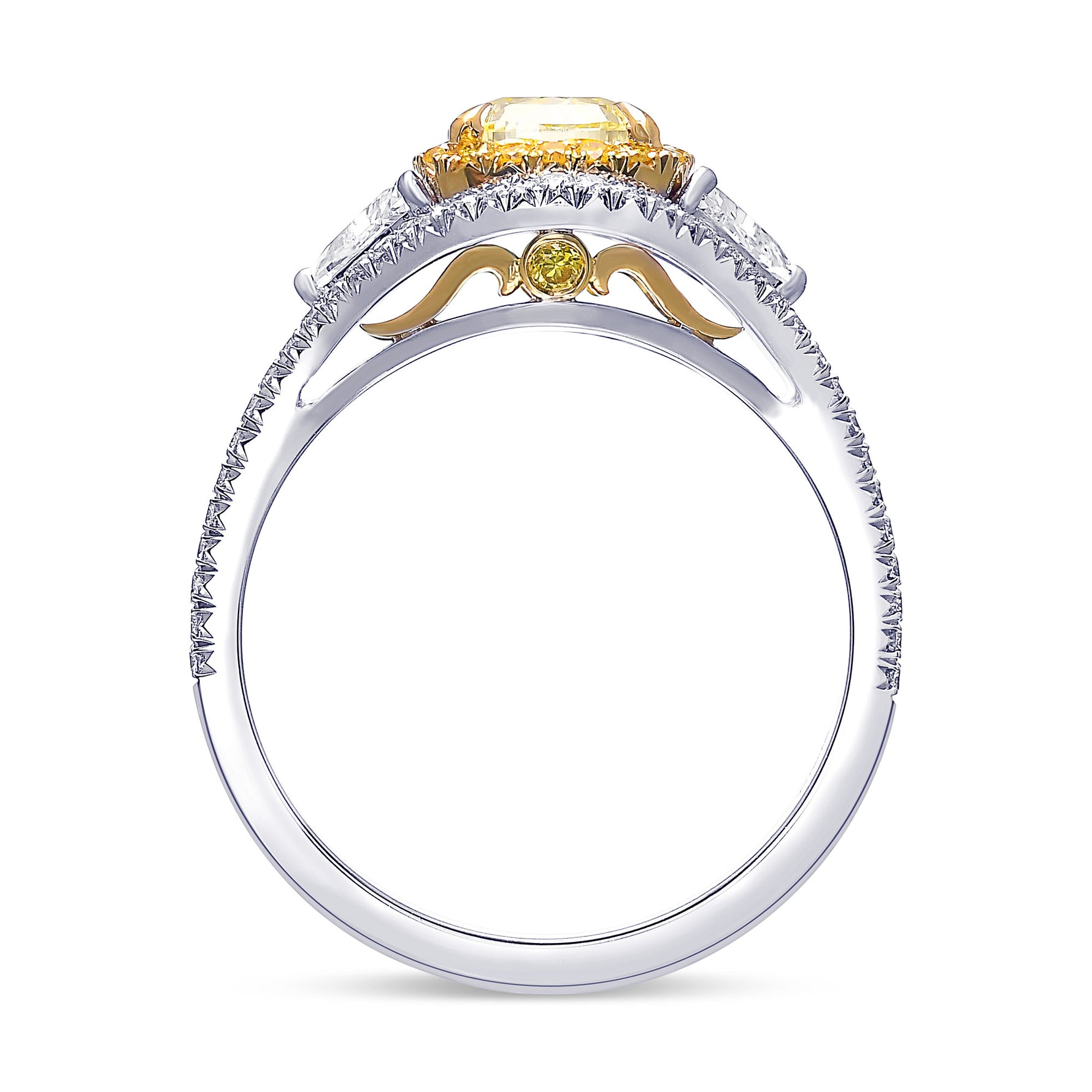 Fancy Yellow Cushion Diamond Double Halo Ring