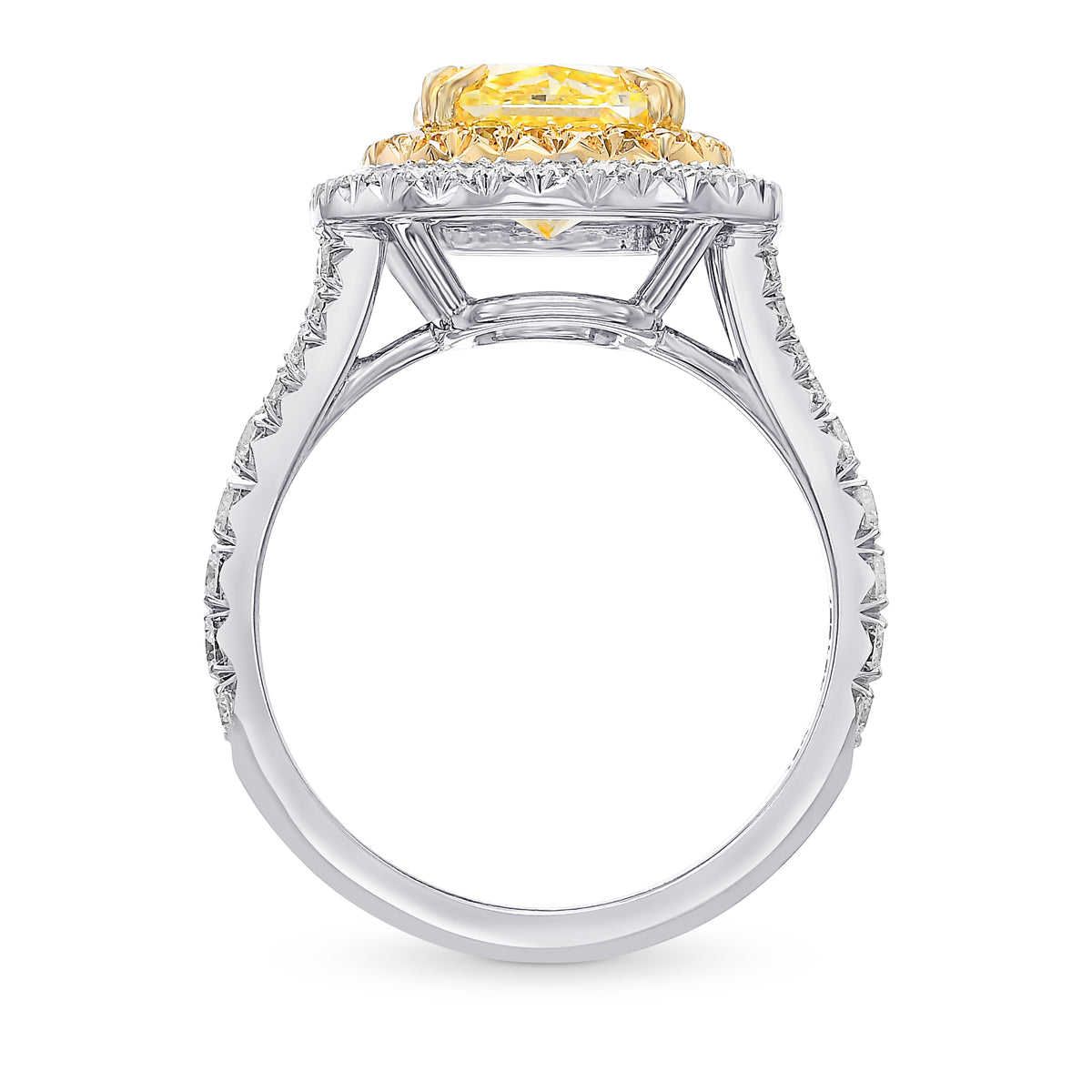 Fancy Intense Yellow Cushion Double Halo Diamond Ring