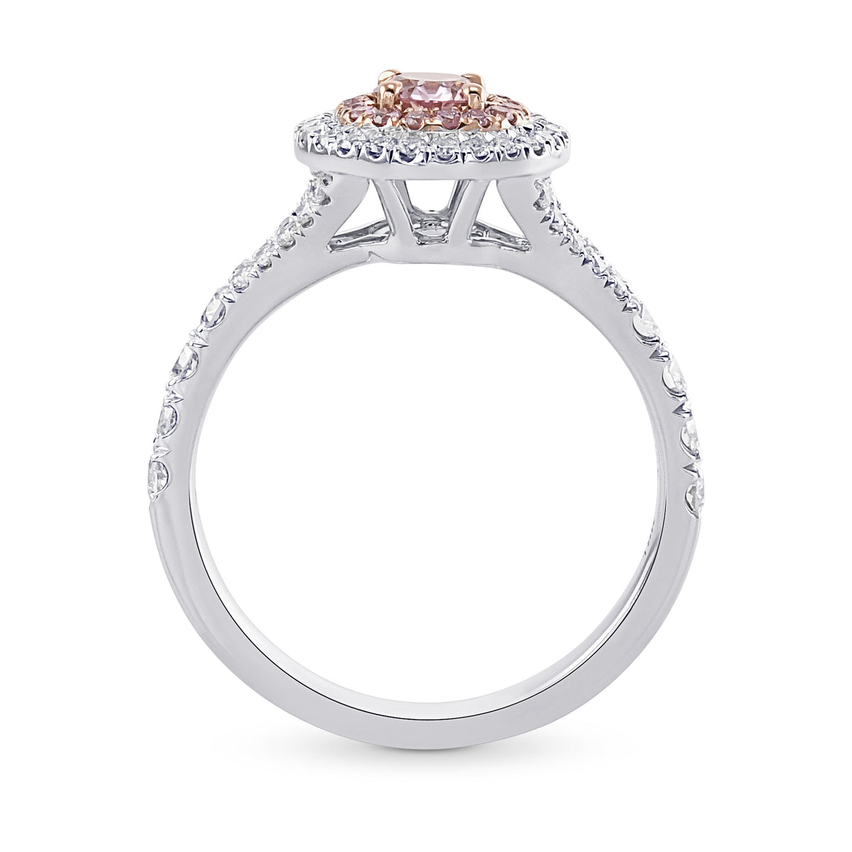 Argyle Fancy Pink Round Diamond Double Halo Ring