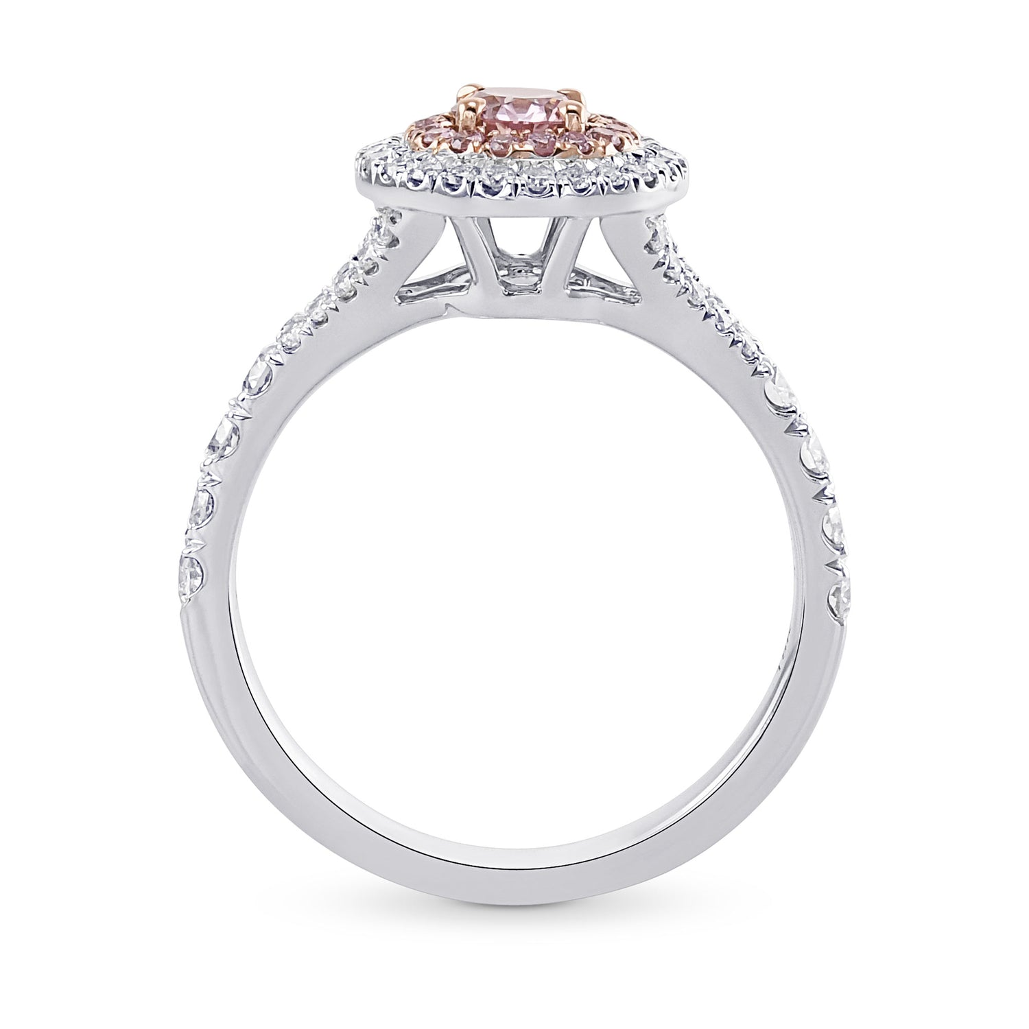 Argyle Fancy Pink Round Diamond Double Halo Ring