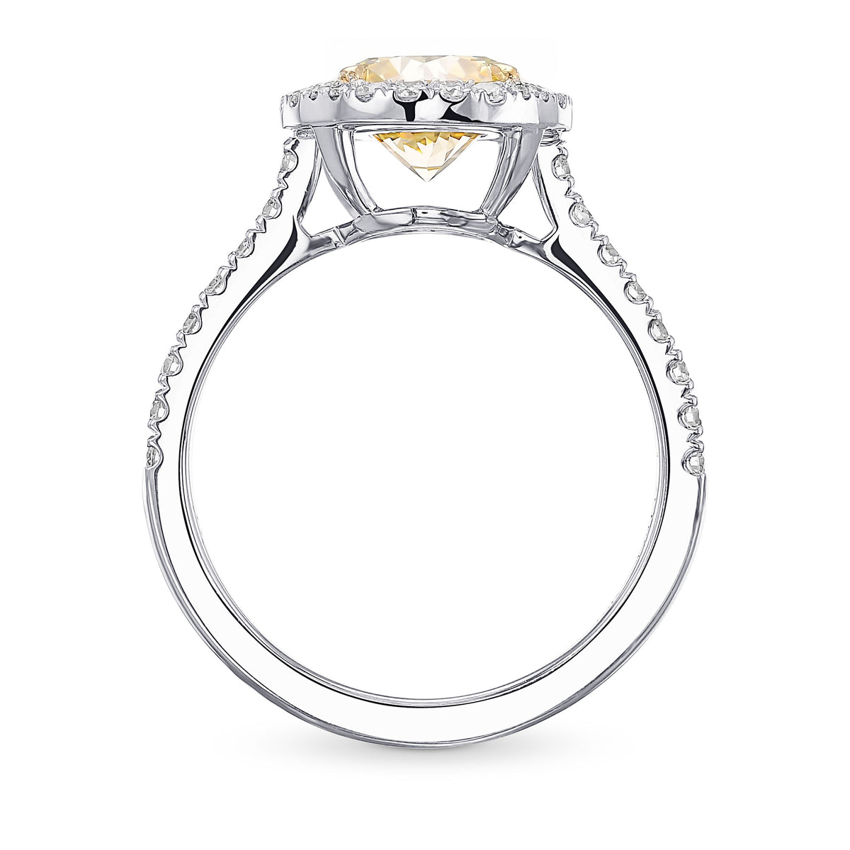Fancy Yellow Round Halo Diamond Ring