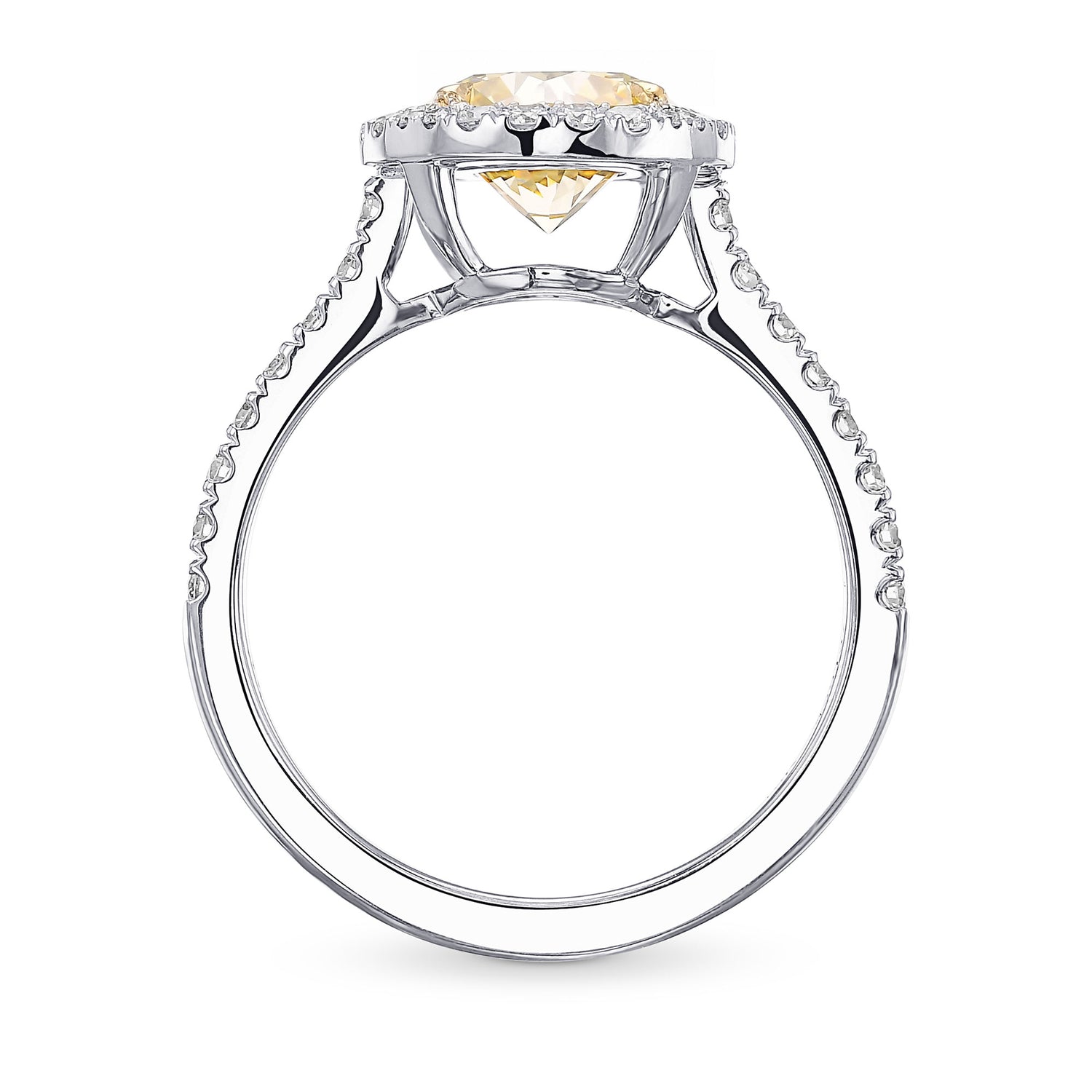 Fancy Yellow Round Halo Diamond Ring