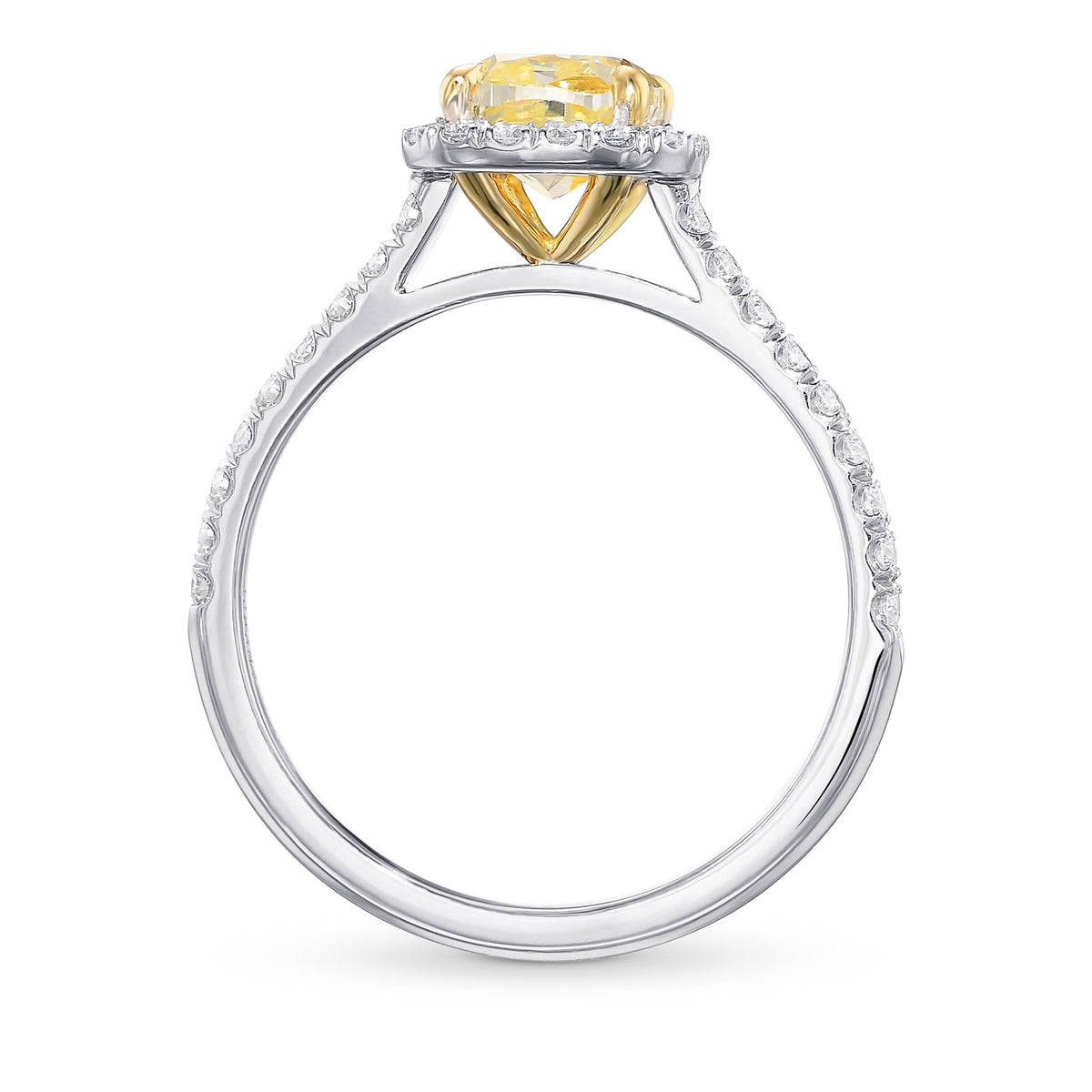 Fancy Light Yellow Cushion Diamond Halo Ring  