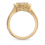 Chameleon Heart Halo Diamond Ring