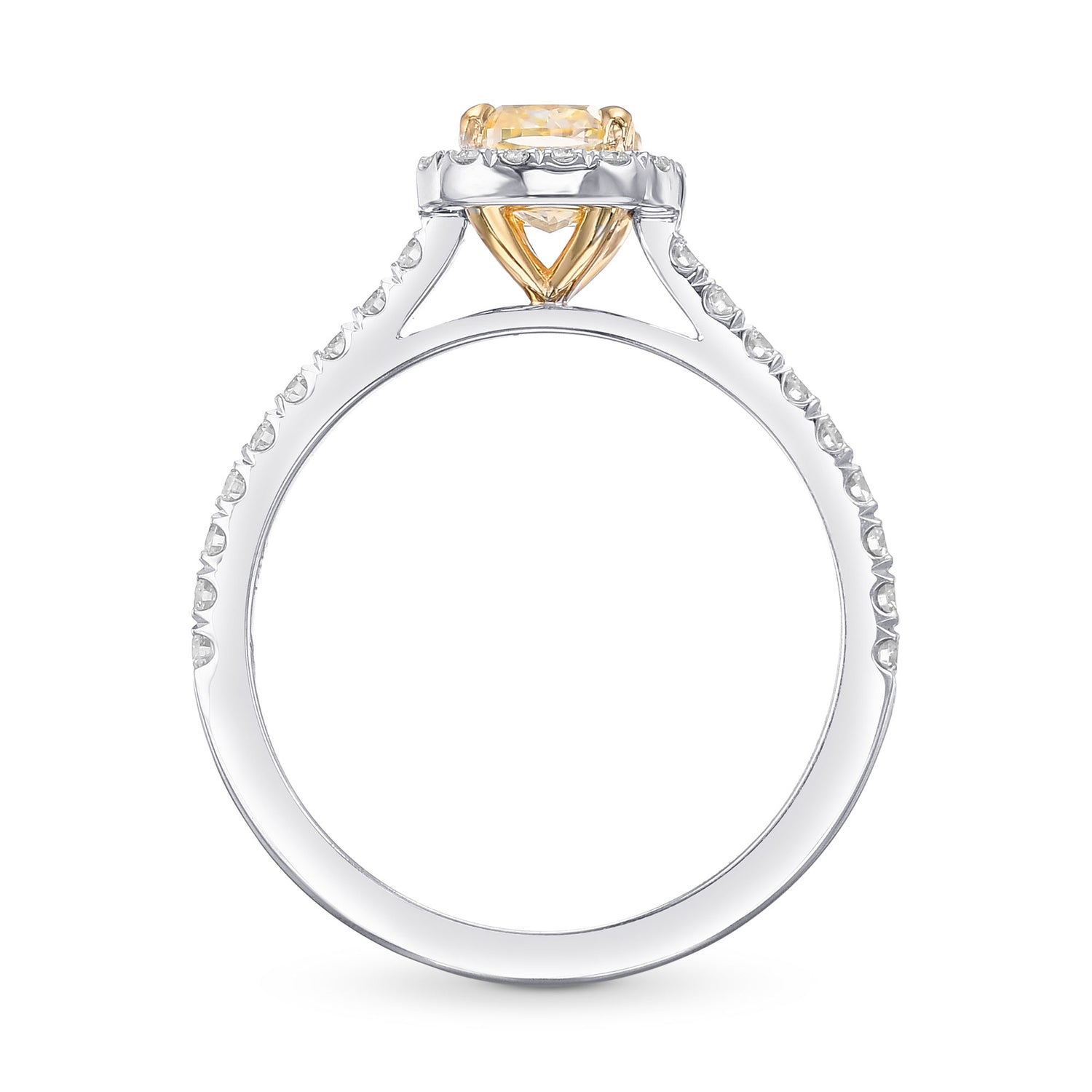 Fancy Yellow Cushion Halo Diamond Ring