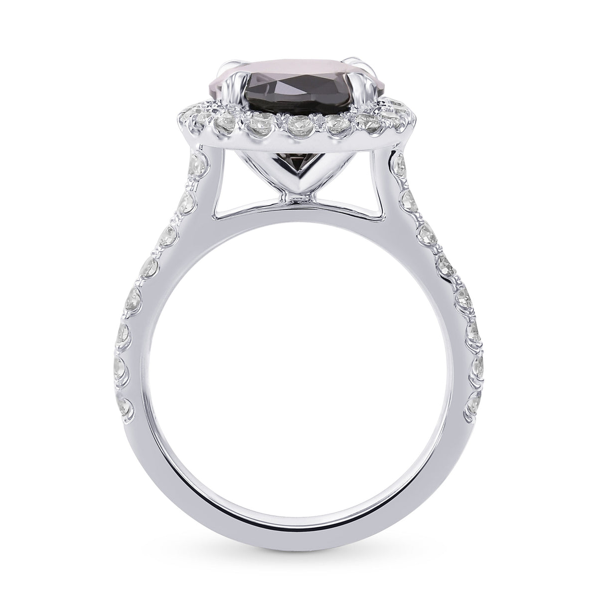 Fancy Black Round Halo Engagement & Wedding Rings