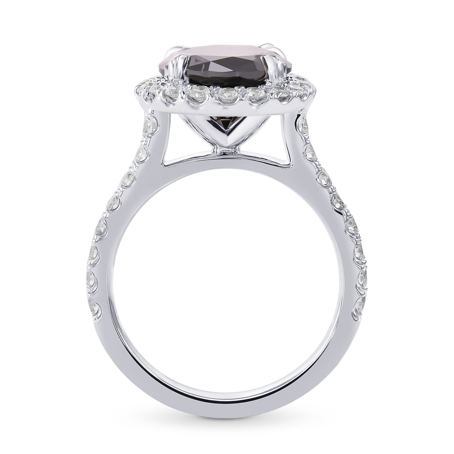 Fancy Black Round Halo Engagement & Wedding Rings