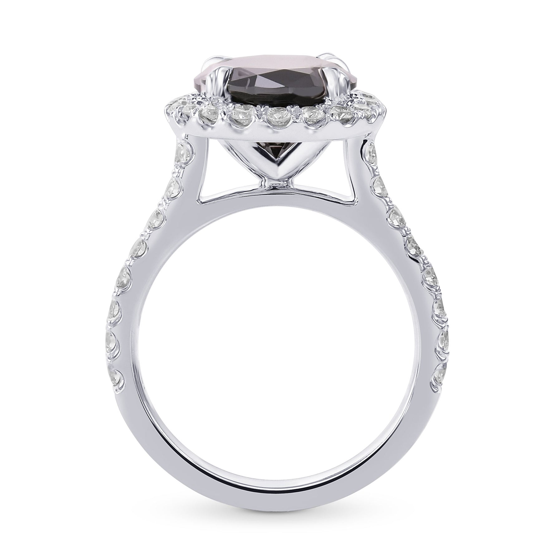 Fancy Black Round Halo Engagement & Wedding Rings