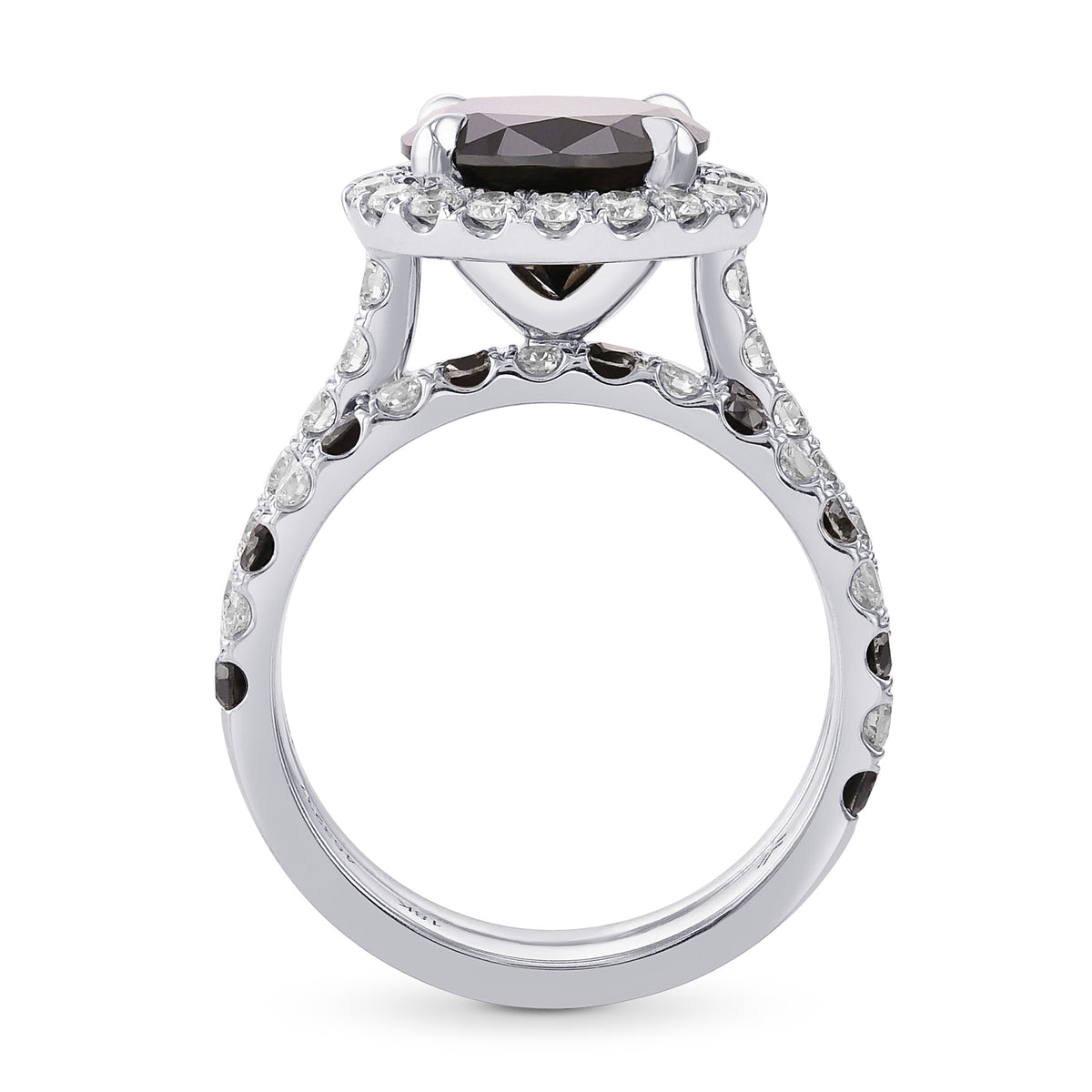 Fancy Black Round Halo Engagement & Wedding Rings