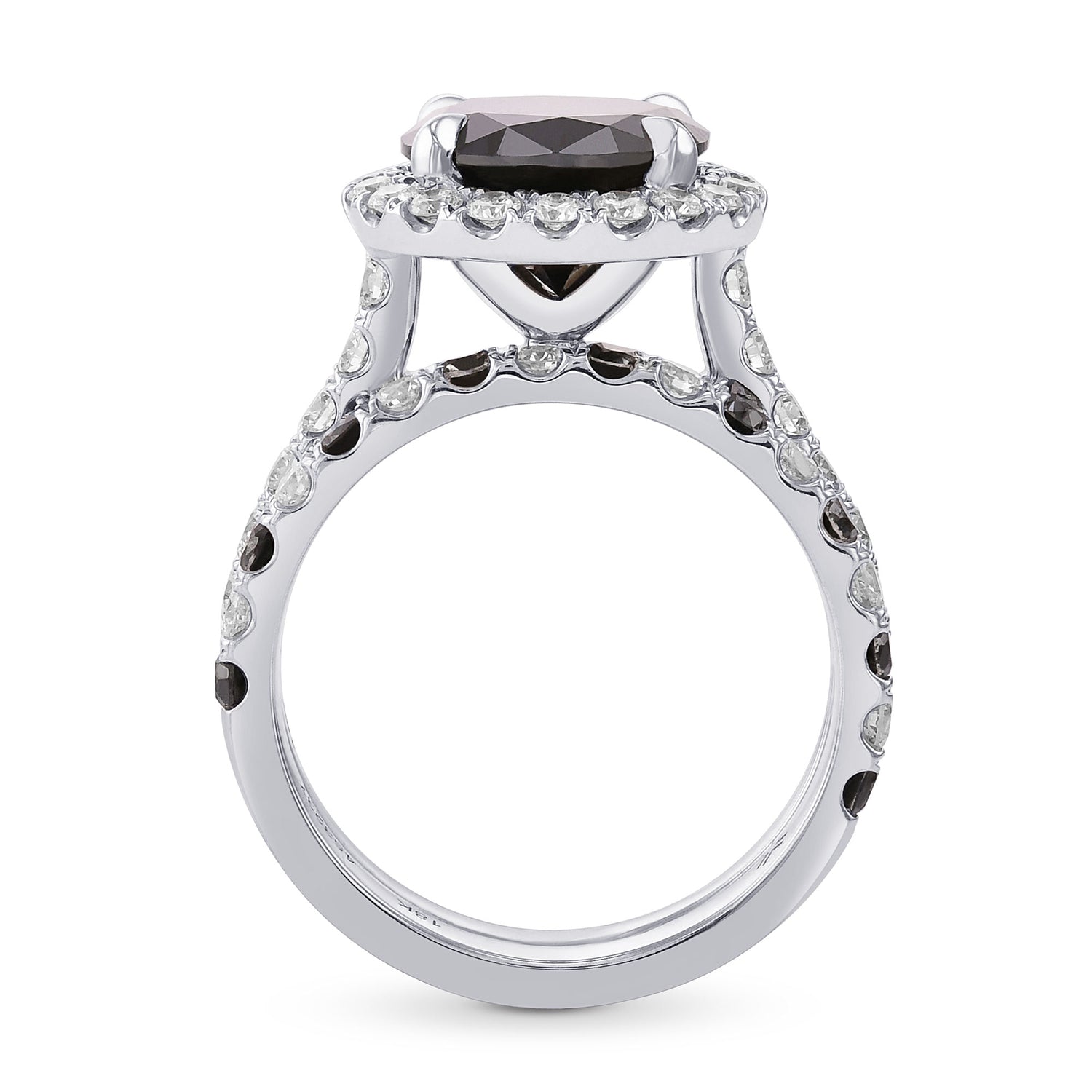 Fancy Black Round Halo Engagement & Wedding Rings