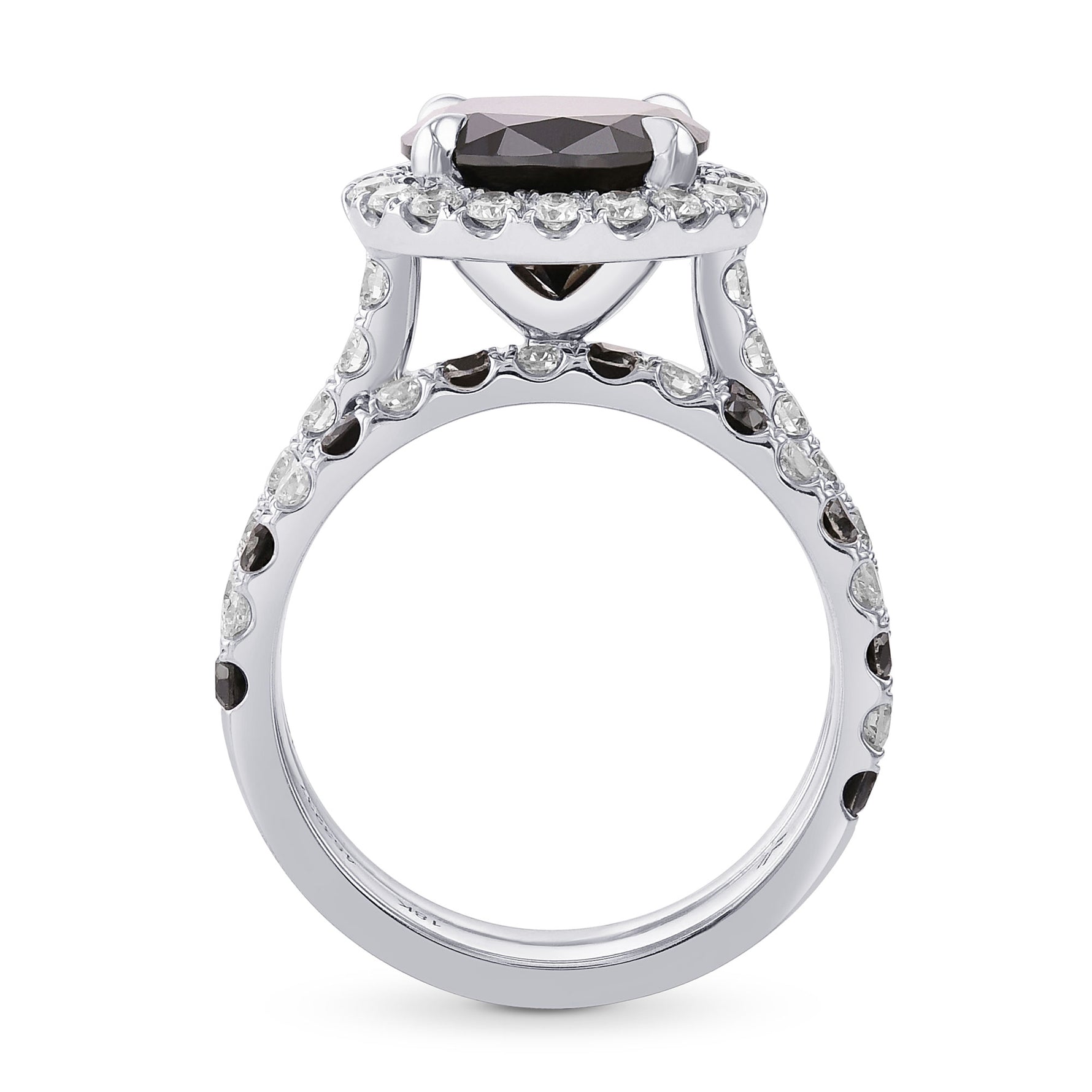 Fancy Black Round Halo Engagement & Wedding Rings