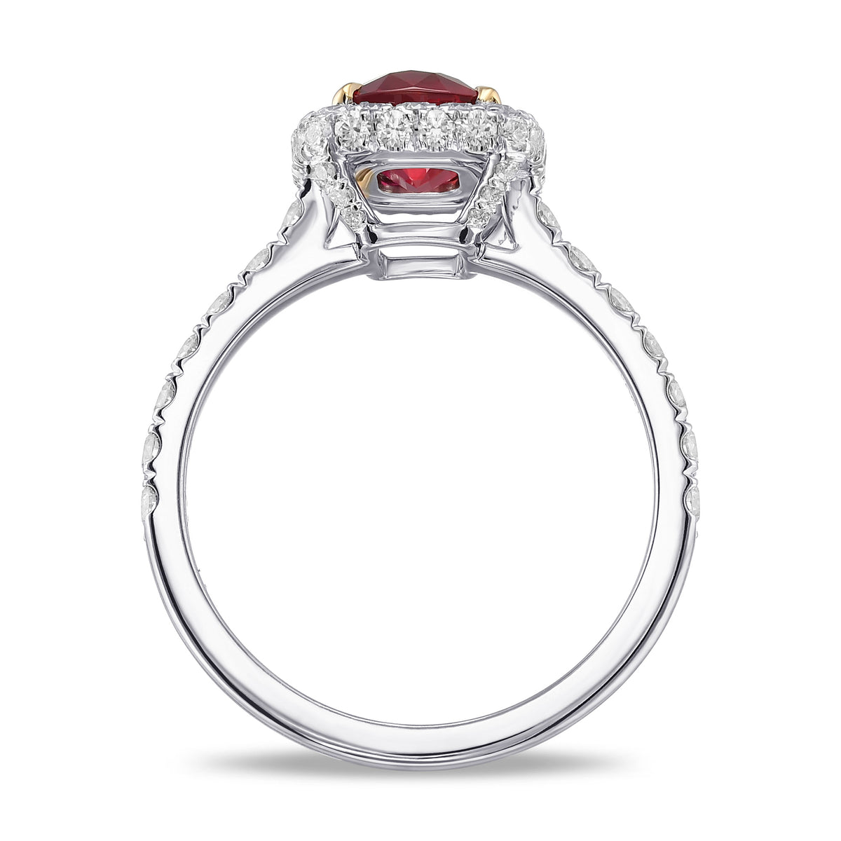 Cushion Pigeon Blood Ruby & Diamond Halo Ring